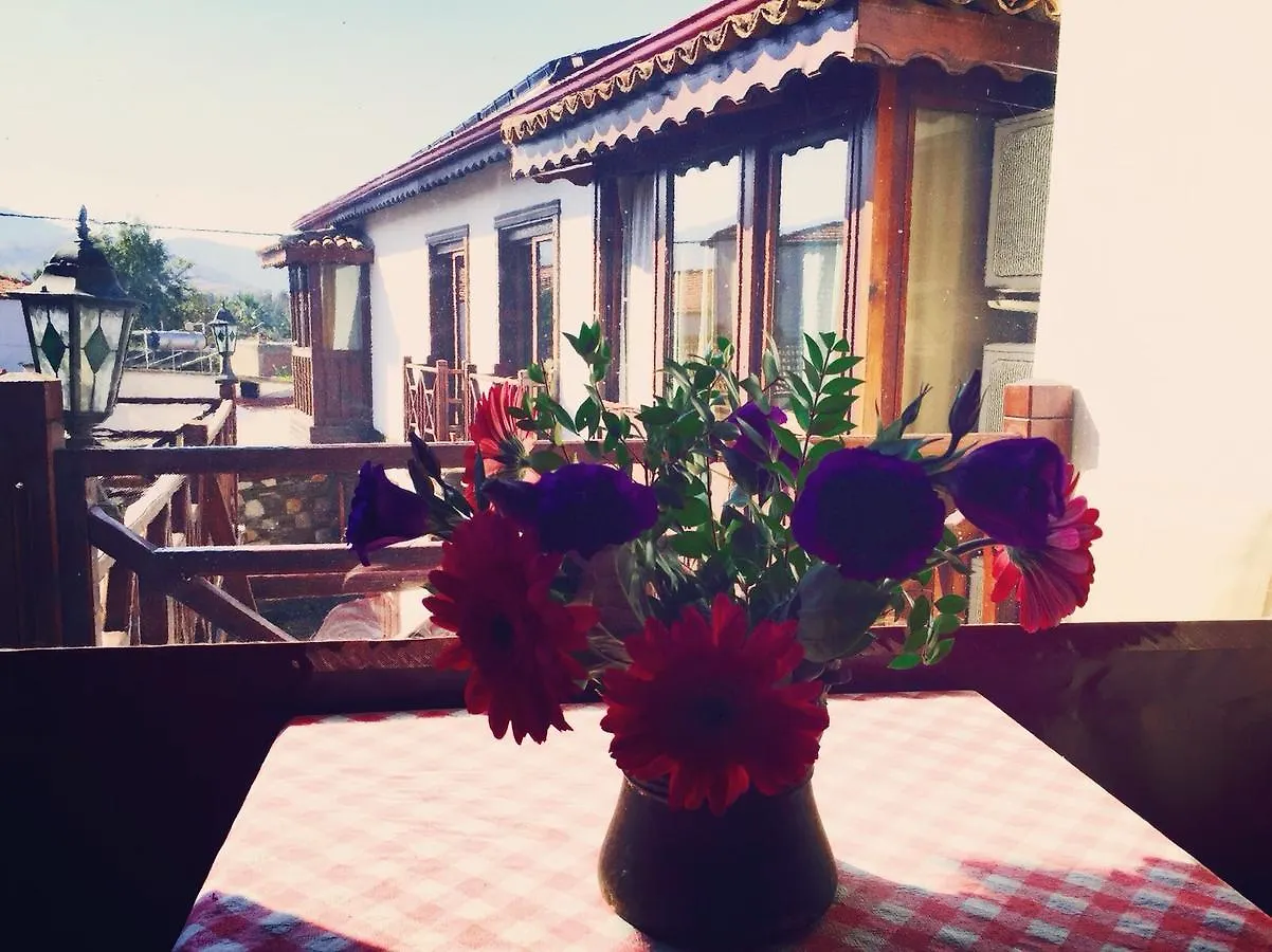 Amazon Petite Palace Selcuk Turkey