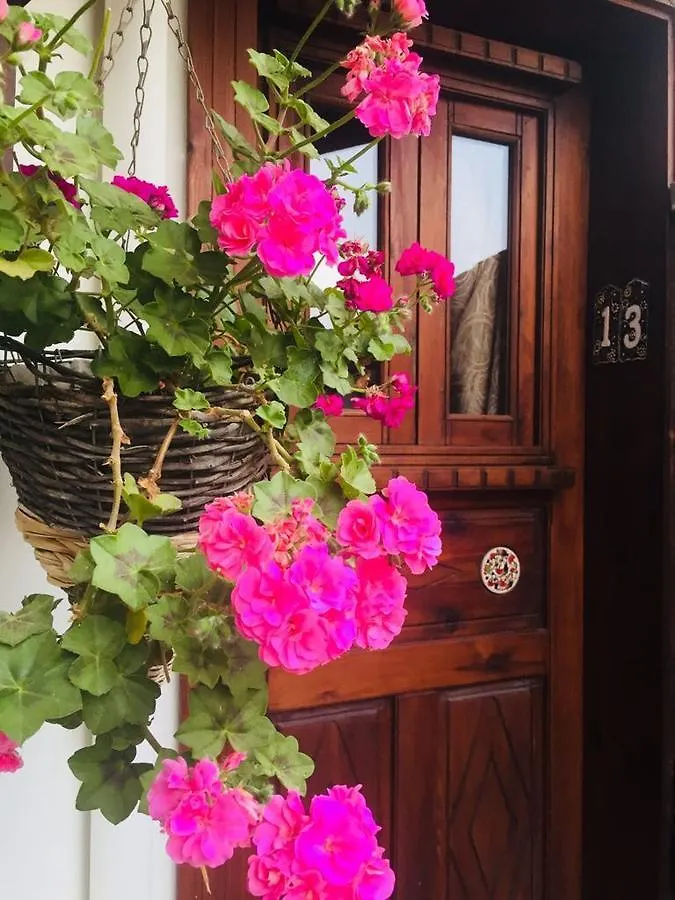 Amazon Petite Palace Selcuk