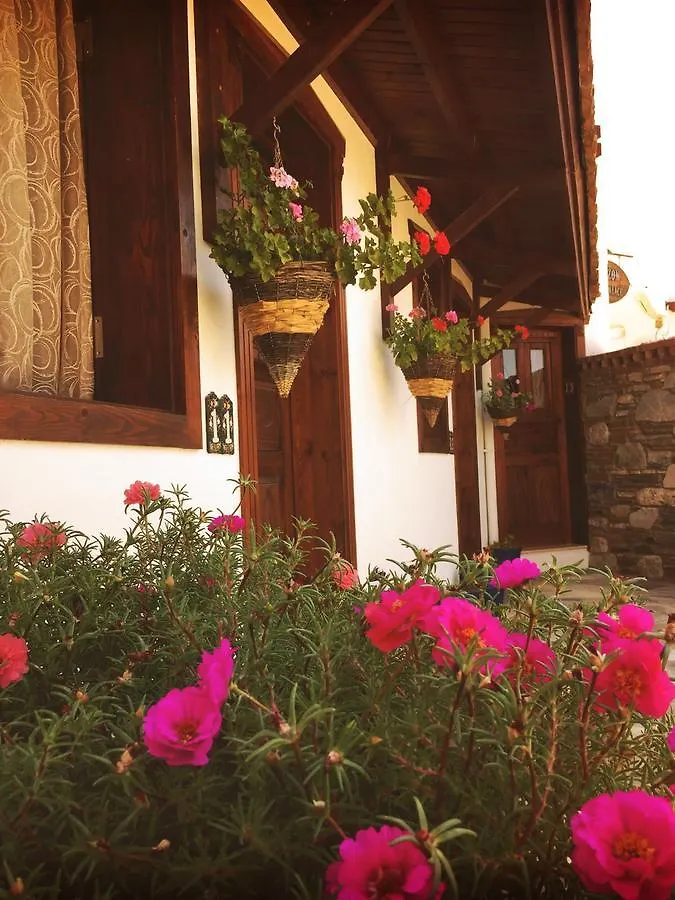 Guest house Amazon Petite Palace Selcuk